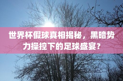 世界杯假球真相揭秘，黑暗势力操控下的足球盛宴？