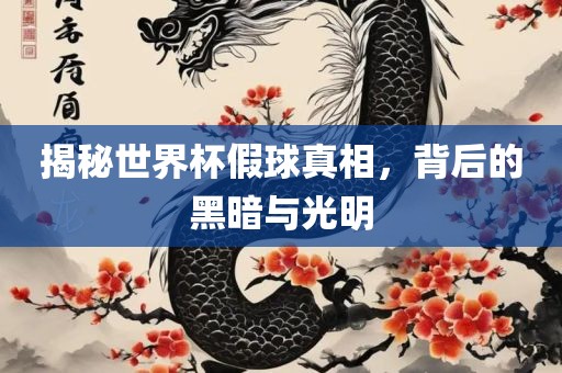 揭秘世界杯假球真相，背后的黑暗与光明丹东日丰电子有限公司