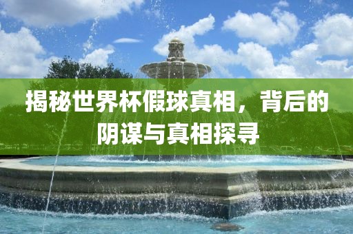 揭秘世界杯假球真相，背后的阴谋与真相探寻丹东日丰电子有限公司