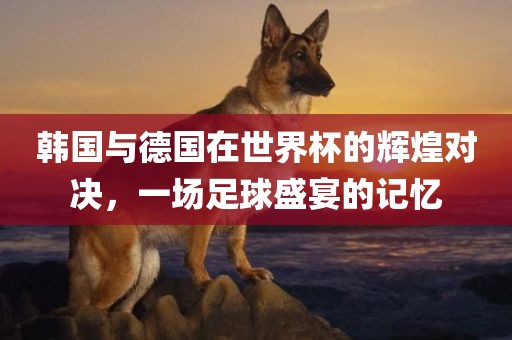 韩国与德国在世界杯的辉煌对决，一场足球盛宴的记忆丹东日丰电子有限公司