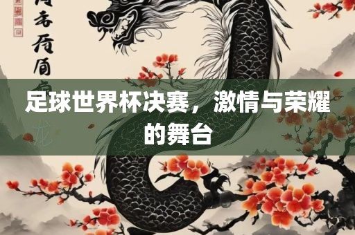 足球世界杯决赛，激情与荣耀的舞台丹东日丰电子有限公司