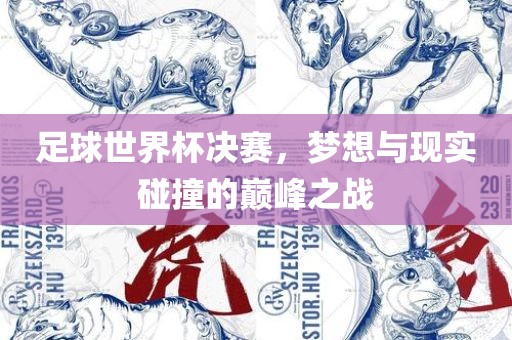 足球世界杯决赛，梦想与现实碰撞的巅峰之战