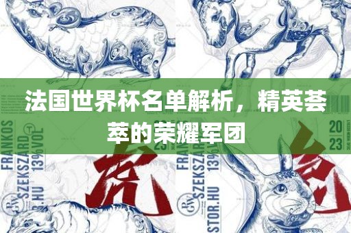 法国世界杯名单解析，精英荟萃的荣耀军团丹东日丰电子有限公司