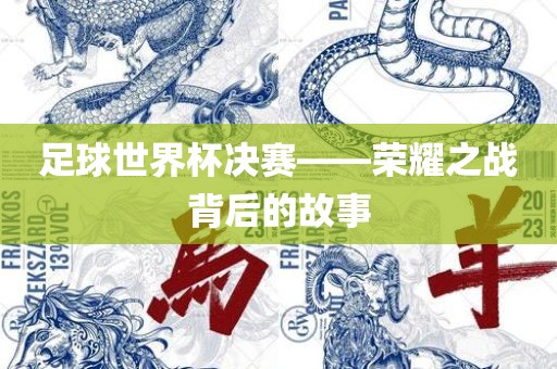 足球世界杯决赛——荣耀之战背后的故事