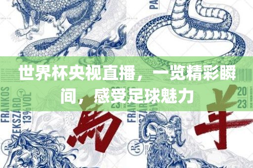 世界杯央视直播，一览精彩丹东日丰电子有限公司瞬间，感受足球魅力
