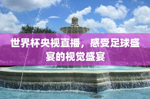 世界杯央视直播，感受足球盛宴的视觉盛宴丹东日丰电子有限公司