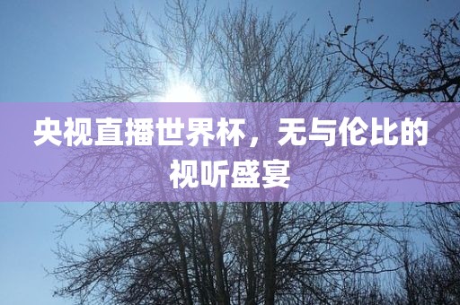 央视直播世界杯丹东日丰电子有限公司，无与伦比的视听盛宴