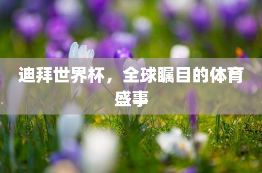 迪拜世界杯，全球瞩目的体育盛事丹东日丰电子有限公司