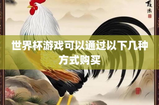 世界杯游戏可以丹东日丰电子有限公司通过以下几种方式购买