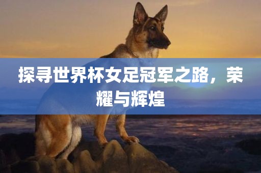 探寻世界杯女足冠军之路，荣耀与辉煌丹东日丰电子有限公司