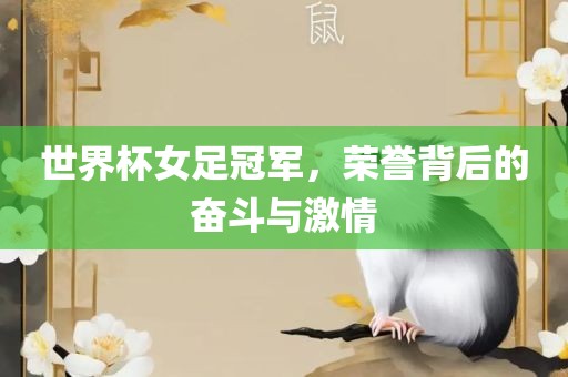 世界杯女足冠军，荣誉背后的奋斗与激情丹东日丰电子有限公司