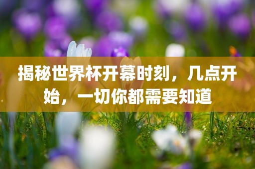 揭秘世界杯开幕时刻，几点开始，一切你都丹东日丰电子有限公司需要知道