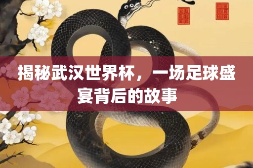 揭秘武汉世界杯，一场足球盛宴背后的故事丹东日丰电子有限公司