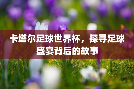卡塔尔足球世界杯，探寻足球盛宴背后的故事丹东日丰电子有限公司