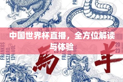 中国世界杯直播，全方位解读与体验丹东日丰电子有限公司