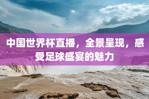 中国世界杯直播，全景呈现，感受足球盛宴的魅力丹东日丰电子有限公司