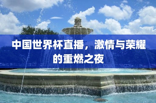 中国世界杯直播，激情与荣耀的重燃之夜丹东日丰电子有限公司