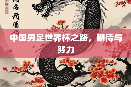 中国男足世界杯之路，期待与努力丹东日丰电子有限公司