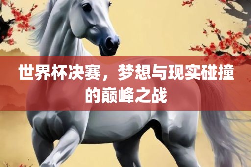 世界杯决赛，梦想与现实碰撞的巅峰之战丹东日丰电子有限公司