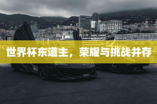世界杯东道主，荣丹东日丰电子有限公司耀与挑战并存