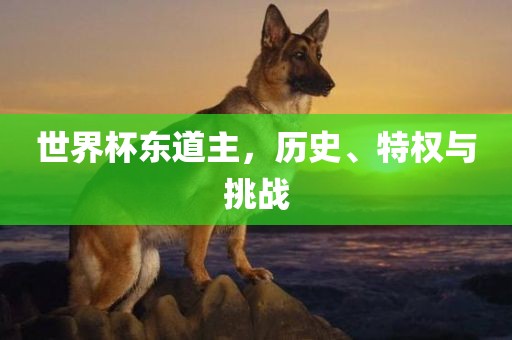 世界杯东道主，历史、特权与挑战