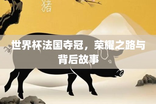 世界杯法国夺冠，荣耀之路与背后故事