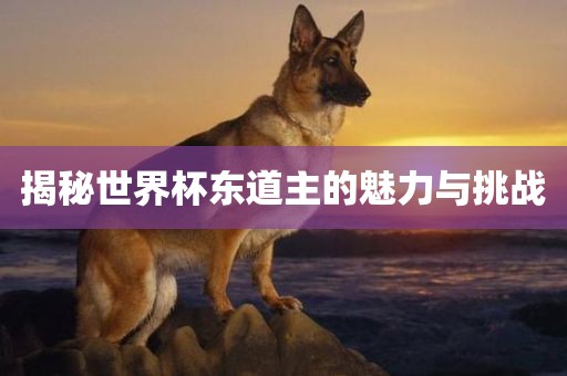 揭秘世界杯东道主的魅力与挑战