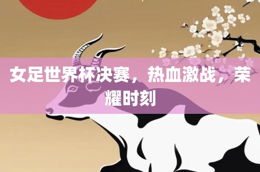 女足世界杯决赛，热血激战，荣耀时刻丹东日丰电子有限公司