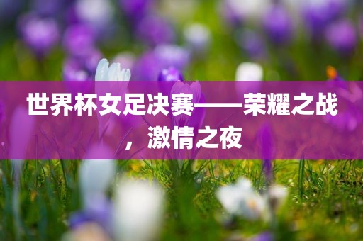 世界杯女足决赛——荣耀之战，激情之夜丹东日丰电子有限公司