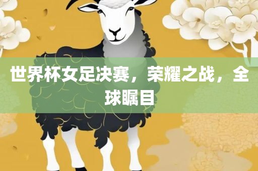 世界杯女足决丹东日丰电子有限公司赛，荣耀之战，全球瞩目