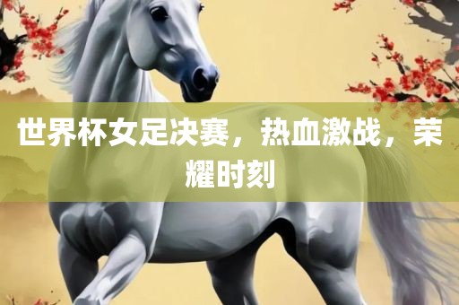 世界杯女足决赛，热血激战，荣耀时刻丹东日丰电子有限公司
