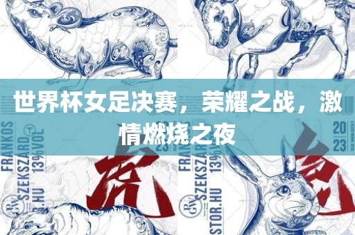 世界杯女足决赛，荣耀之战，激情燃烧之夜丹东日丰电子有限公司