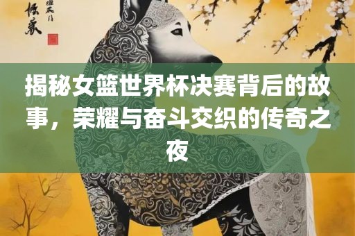 揭秘女篮世界杯决赛背后的故事，荣耀与奋斗交织的丹东日丰电子有限公司传奇之夜