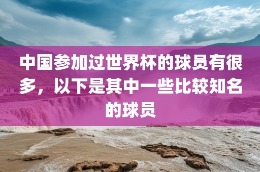 中国参加过世界杯的球员有很多，以下是其中一些比较知名的球员