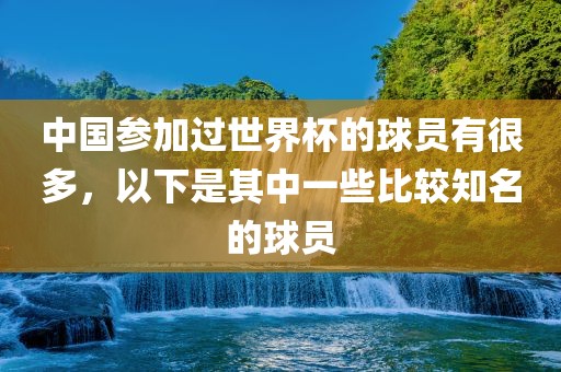 中国参加过世界杯的球员有很多，以下是其中一些比较知名的球员