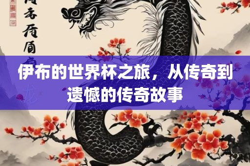 伊布的世界杯丹东日丰电子有限公司之旅，从传奇到遗憾的传奇故事