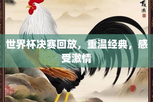 世界杯决赛回放，重温经典，感受激情丹东日丰电子有限公司