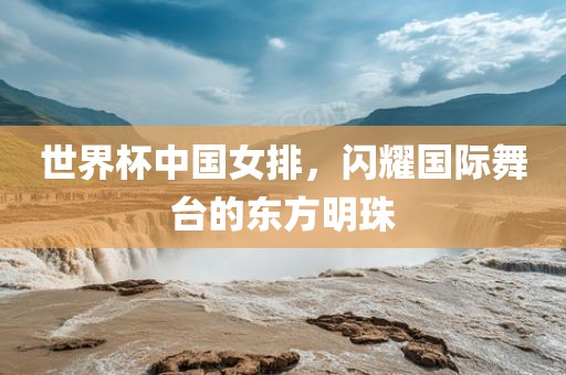 世界杯中国女排，闪耀国际舞台的东方明珠丹东日丰电子有限公司