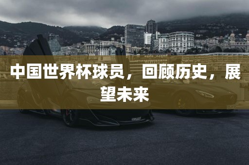 中国世界杯球员，回顾历史，展望未来