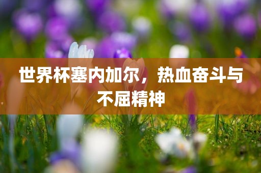世界杯塞内加尔，热血奋斗与不屈精神丹东日丰电子有限公司