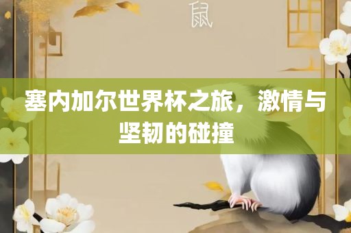 塞内加尔世界杯之旅，丹东日丰电子有限公司激情与坚韧的碰撞