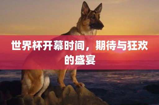 世界杯开幕时间，期待与狂欢的盛宴丹东日丰电子有限公司