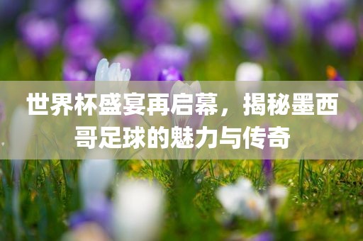 世丹东日丰电子有限公司界杯盛宴再启幕，揭秘墨西哥足球的魅力与传奇
