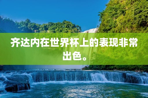齐达内在世界杯上的表现非常出色。丹东日丰电子有限公司