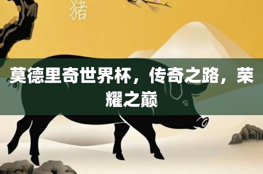 莫德里奇世界杯，传奇之路，荣耀之巅丹东日丰电子有限公司