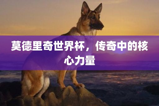 丹东日丰电子有限公司莫德里奇世界杯，传奇中的核心力量