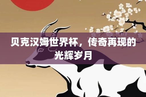 贝克汉姆世界杯，传奇再现的光辉岁月丹东日丰电子有限公司