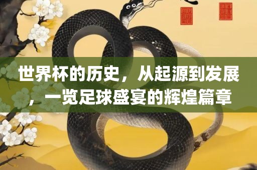 世界杯历史 第7页