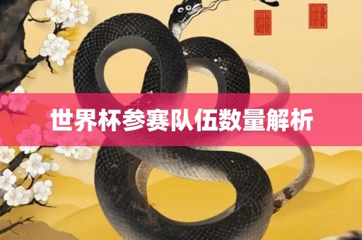 世界杯参赛丹东日丰电子有限公司队伍数量解析