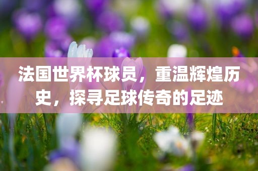 法国世界杯球员，重温辉煌历史，探寻足球传奇的足迹